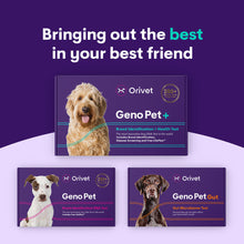 Afbeelding in Gallery-weergave laden, Geno Pet +  (Breed + Health Kit)
